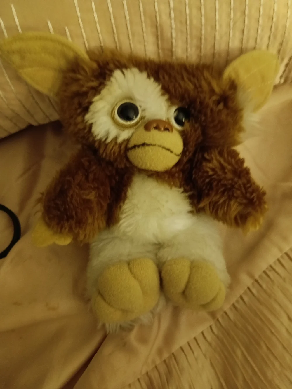 Plush Small Pet Toy - Brown and White Cozy Squeak